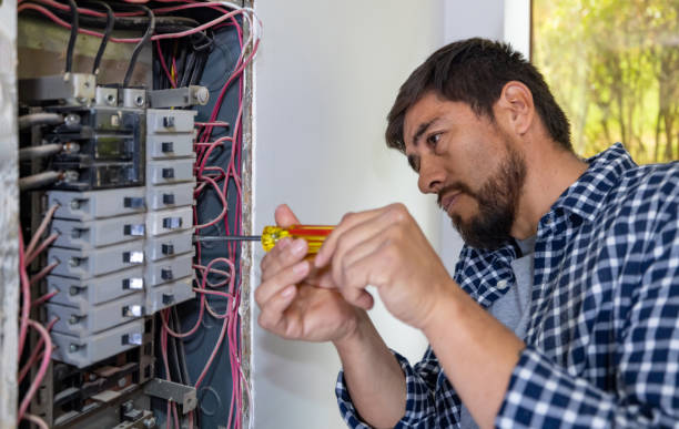 Best Electric Panel Repair  in Kalifornsky, AK